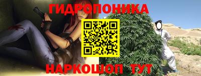индика Бузулук