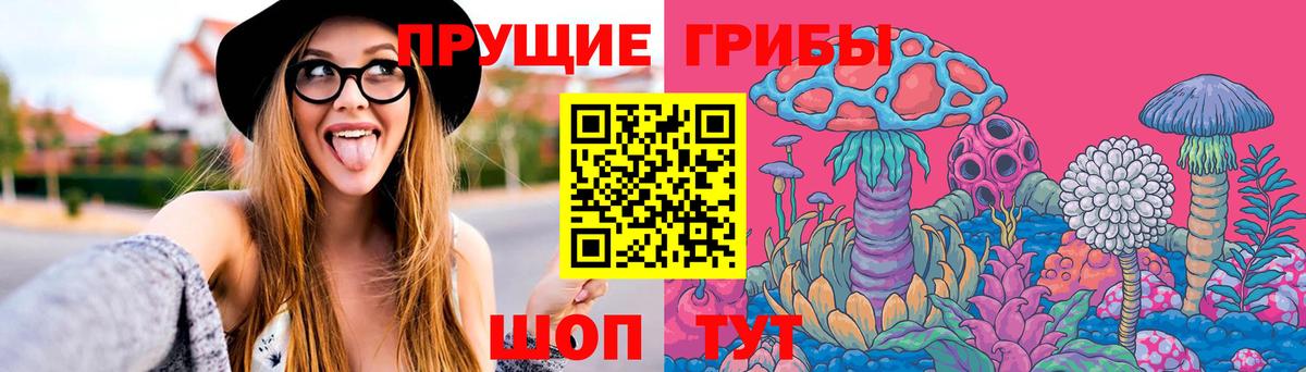 Псилоцибиновые грибы Magic Shrooms  купить наркотик  Махачкала  Галлюциногенные грибы Psilocybe  Вход с VPN 